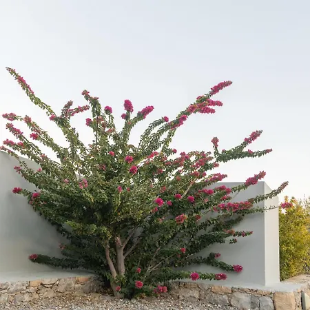 Evgoro Luxury * Agia Galini (Crete)
