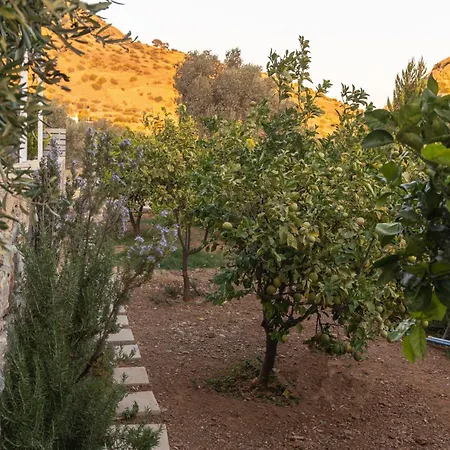 Evgoro Luxury Agia Galini